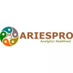Ariespro Technology Services Pvt. Ltd
        Verified Company